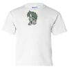 Ultra Cotton Youth T-Shirt Thumbnail